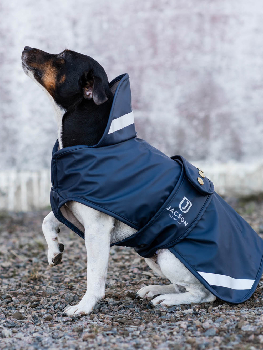 Peggy Rain Coat thumbnail