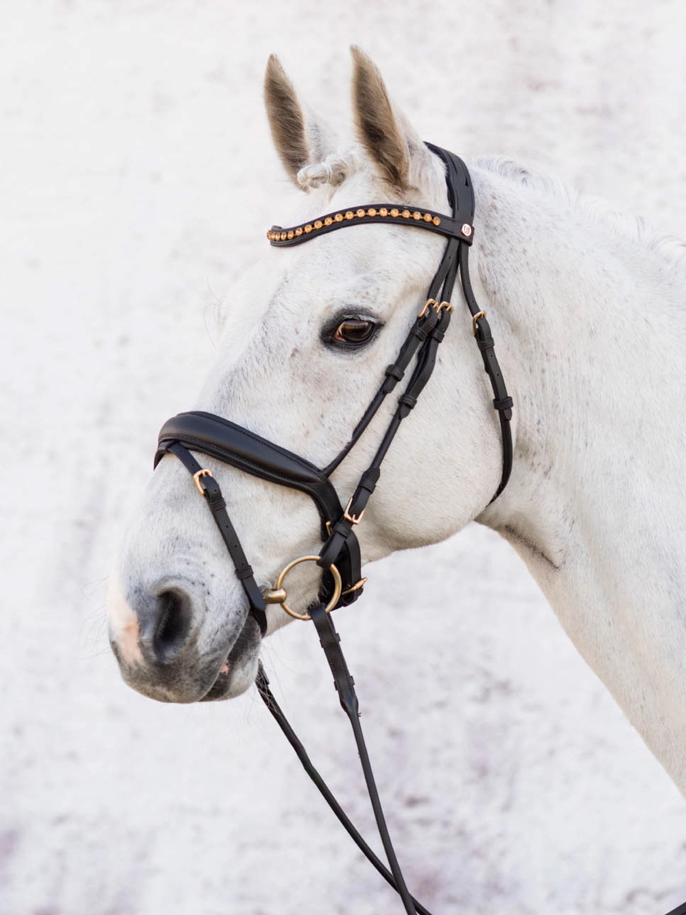 Cleveland Dressage Bridle thumbnail