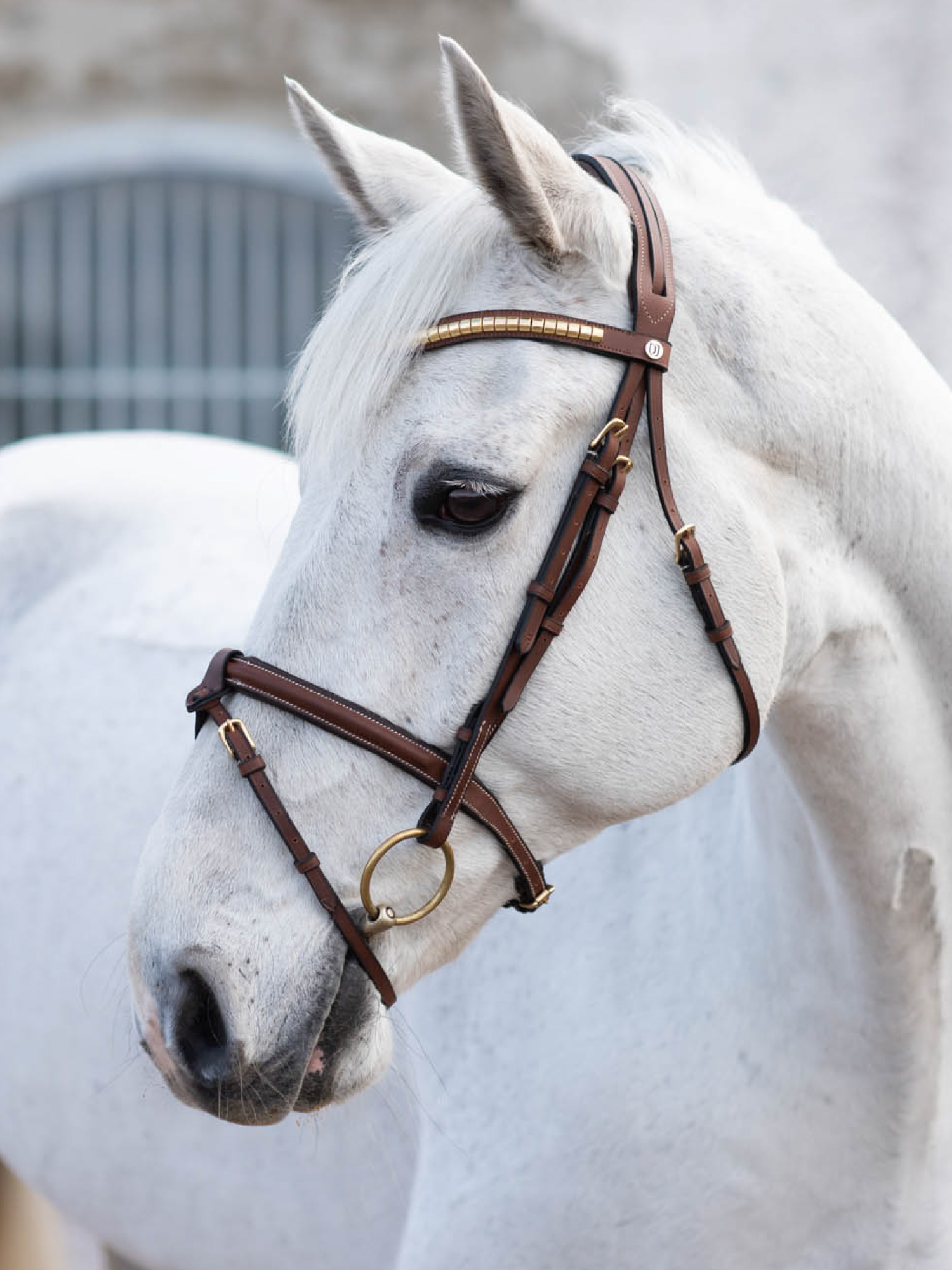 California Aachen Bridle thumbnail