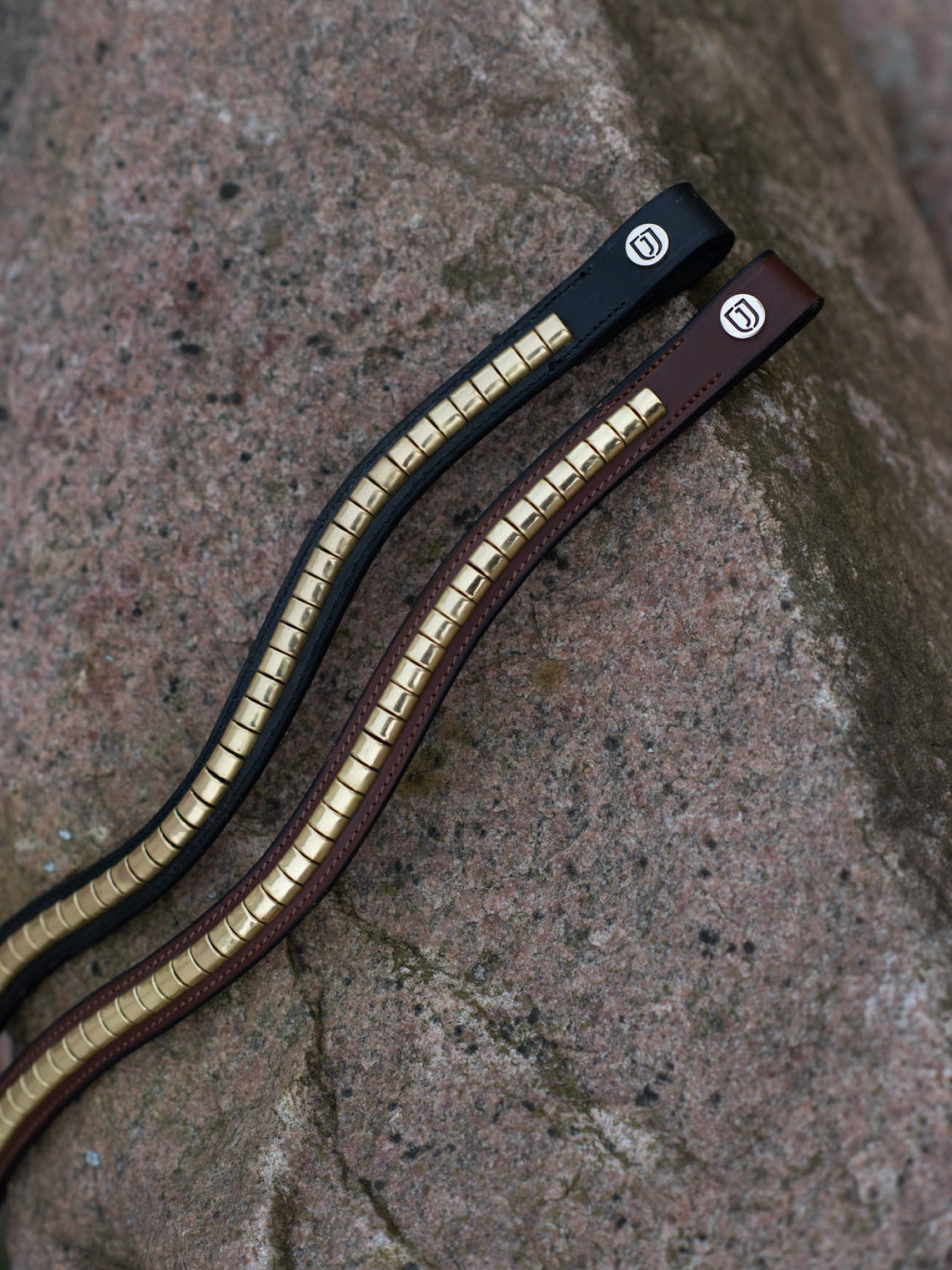 Cambridge Pannband thumbnail