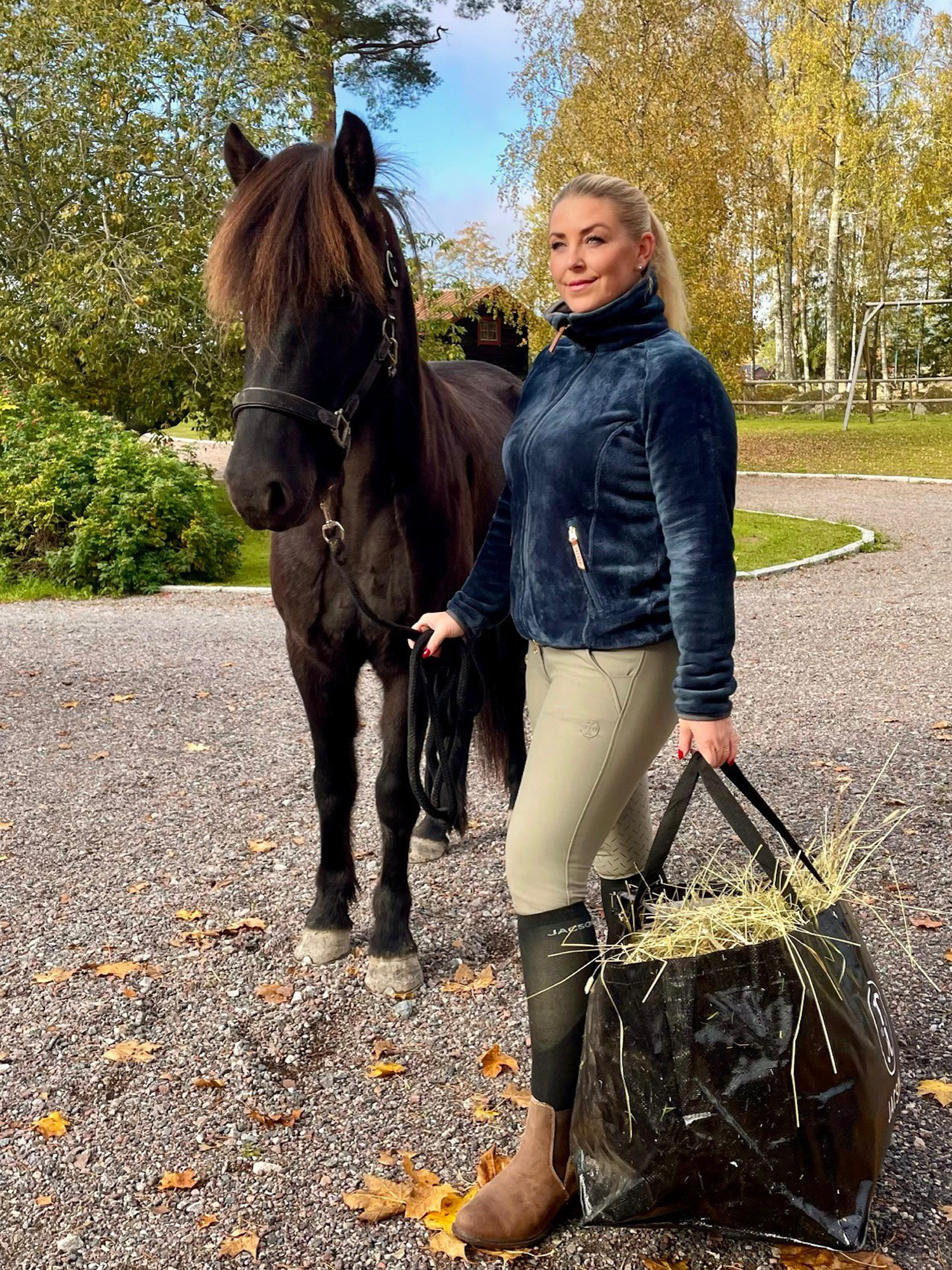 Product rollover image